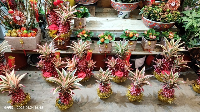 2025台北花市🌸|內湖花市|台北花市花禮想|2025春節營