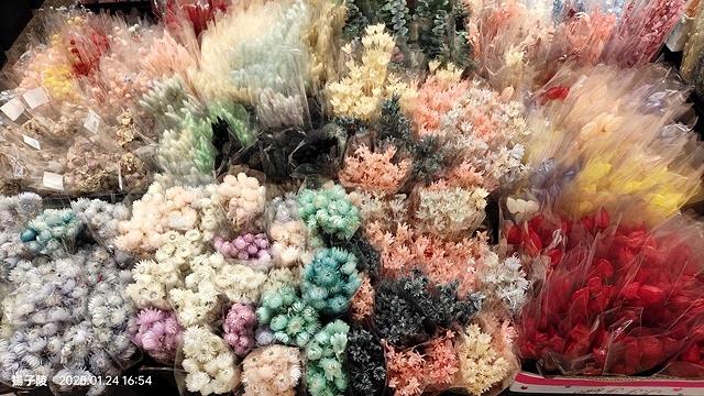 2025台北花市🌸|內湖花市|台北花市花禮想|2025春節營