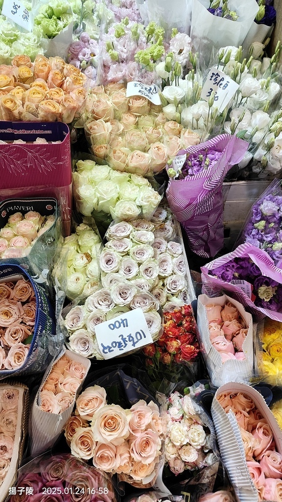 2025台北花市🌸|內湖花市|台北花市花禮想|2025春節營