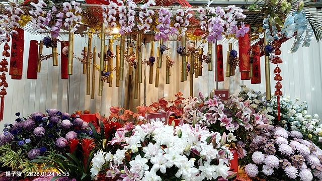 2025台北花市🌸|內湖花市|台北花市花禮想|2025春節營