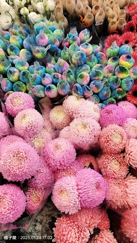 2025台北花市🌸|內湖花市|台北花市花禮想|2025春節營