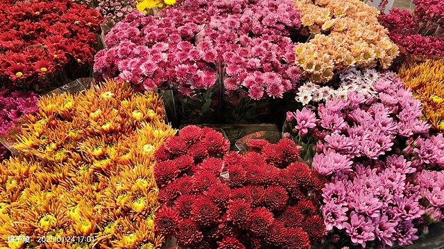 2025台北花市🌸|內湖花市|台北花市花禮想|2025春節營