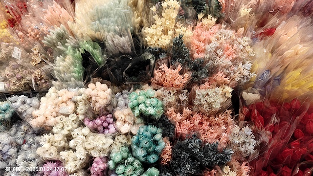 2025台北花市🌸|內湖花市|台北花市花禮想|2025春節營