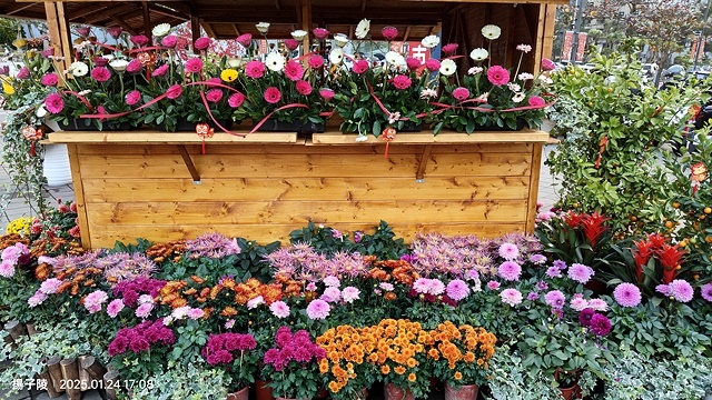 2025台北花市🌸|內湖花市|台北花市花禮想|2025春節營