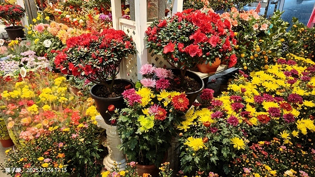 2025台北花市🌸|內湖花市|台北花市花禮想|2025春節營