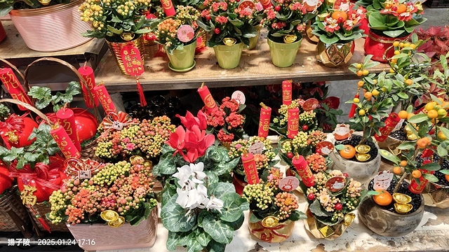 2025台北花市🌸|內湖花市|台北花市花禮想|2025春節營