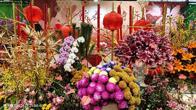 2025建國假日花市|春節花市暨日本松江大根牡丹花展🌸福蛇送