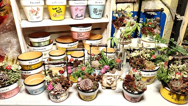 2025建國假日花市|春節花市暨日本松江大根牡丹花展🌸福蛇送