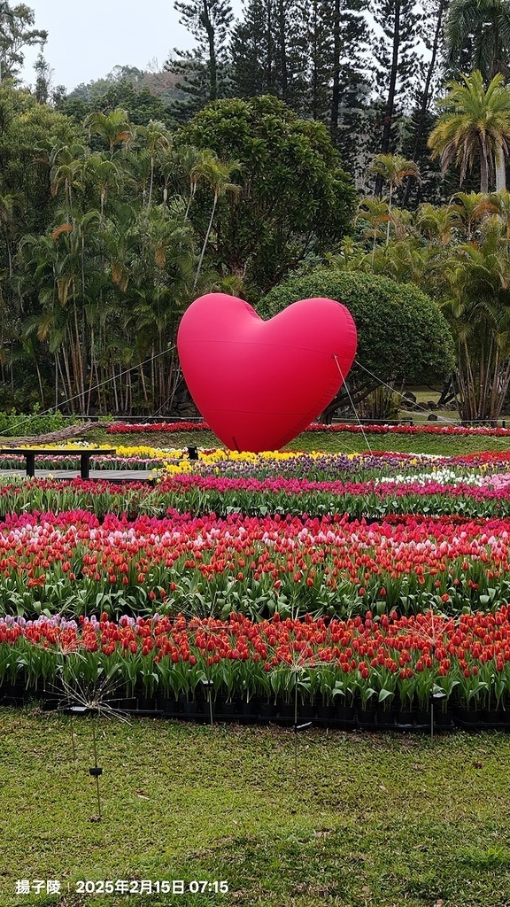 2025士林官邸鬱金香展🌷|愛的遇藝|台北花季花IN台北,活 2025士林官邸鬱金香展🌷|愛的遇藝|台北花季花IN台北,活