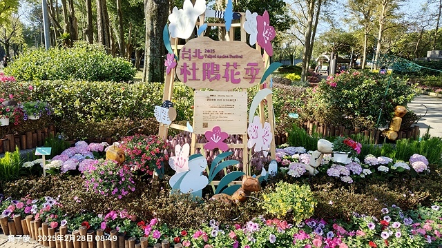 2025大安森林公園繡球花展🌸｜2025台北杜鵑花季，活動日