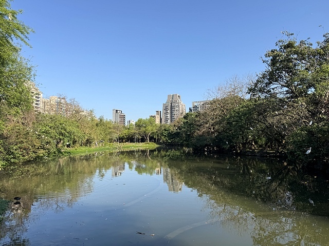 2025大安森林公園繡球花展🌸｜2025台北杜鵑花季，活動日