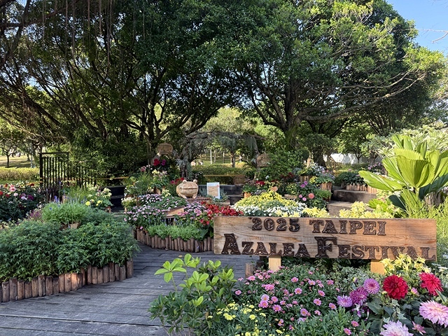 2025大安森林公園繡球花展🌸｜2025台北杜鵑花季，活動日