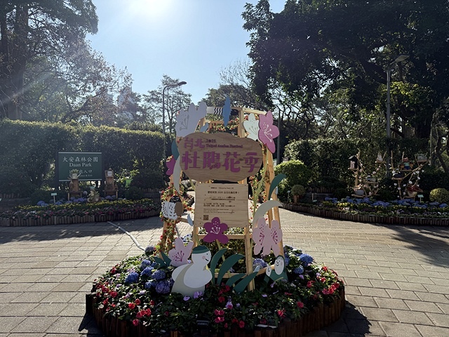 2025大安森林公園繡球花展🌸｜2025台北杜鵑花季，活動日