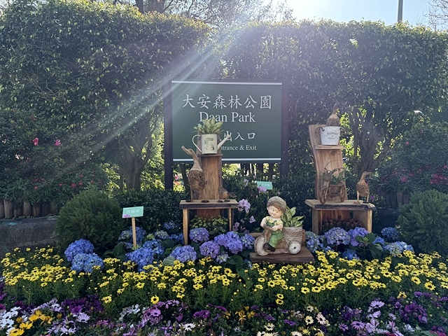 2025大安森林公園繡球花展🌸｜2025台北杜鵑花季，活動日