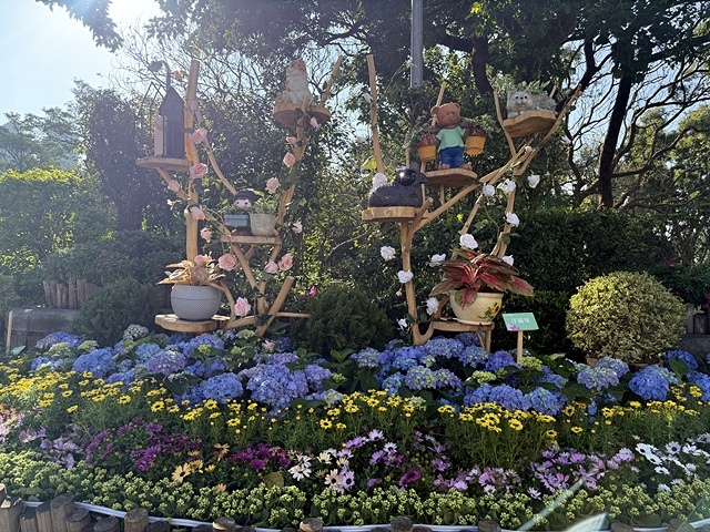 2025大安森林公園繡球花展🌸｜2025台北杜鵑花季，活動日