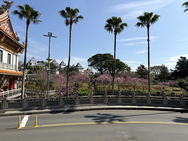 2025竹林山觀音寺櫻花開,山櫻、吉野櫻3/1即時現況🌸|同 2025竹林山觀音寺櫻花開,山櫻、吉野櫻3/1即時現況🌸|同