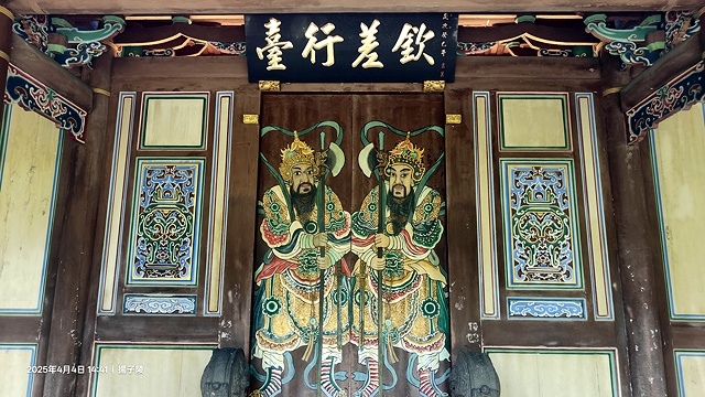 2025台大流蘇花開，4/4即時現況🌸｜