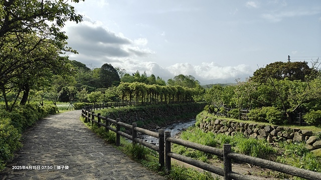 2025蘿芝春雪藝術展，三芝三生步道蘿蔔花田🌸，活動日期：2