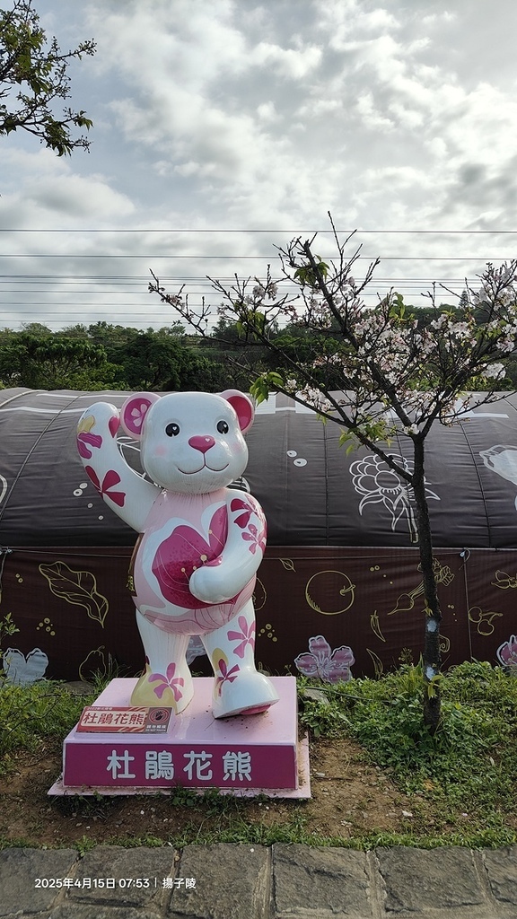 2025蘿芝春雪藝術展，三芝三生步道蘿蔔花田🌸，活動日期：2