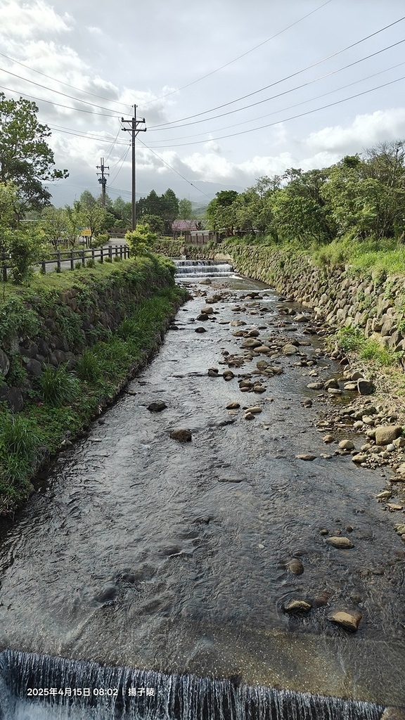 2025蘿芝春雪藝術展，三芝三生步道蘿蔔花田🌸，活動日期：2