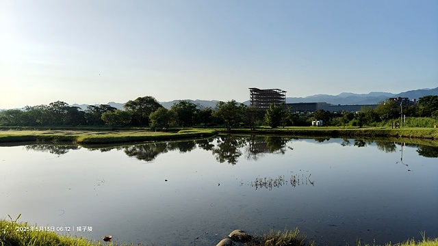 2025樹林山佳荷花池,05/13即時花況🌸|2024樹林山