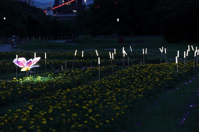 2025新北河濱蝶戀季、初夏奇境🦋，活動日期：2025/05