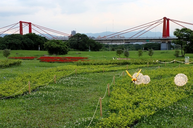 2025新北河濱蝶戀季、初夏奇境🦋，活動日期：2025/05