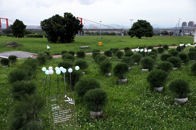 2025新北河濱蝶戀季、初夏奇境🦋，活動日期：2025/05