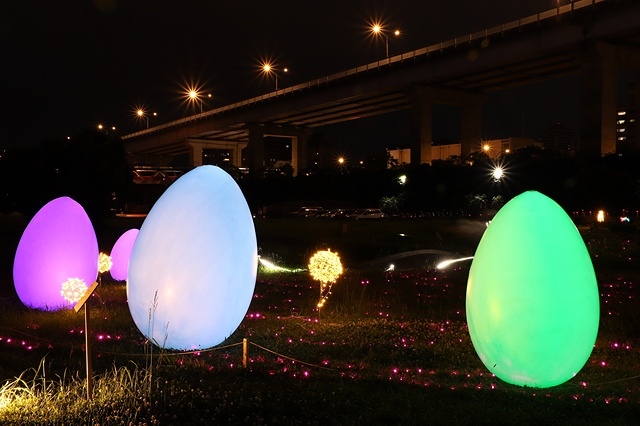 2025新北河濱蝶戀季、初夏奇境🦋，活動日期：2025/05