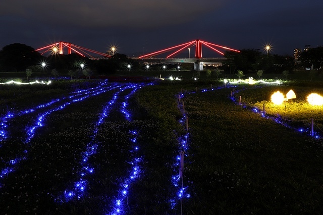 2025新北河濱蝶戀季、初夏奇境🦋，活動日期：2025/05