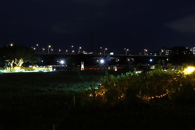 2025新北河濱蝶戀季、初夏奇境🦋，活動日期：2025/05