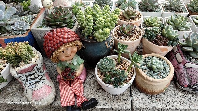 2025年白沙屯媽祖進香記,5/3我們走在雲林元長的信仰路上 2025年白沙屯媽祖進香記,5/3我們走在雲林元長的信仰路上