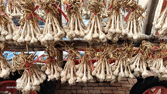 2025年白沙屯媽祖進香記,5/3我們走在雲林元長的信仰路上 2025年白沙屯媽祖進香記,5/3我們走在雲林元長的信仰路上