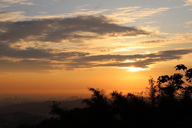 2025桃園龜山中坑街316巷牡丹蓮,5/31即時花況🌸;同
