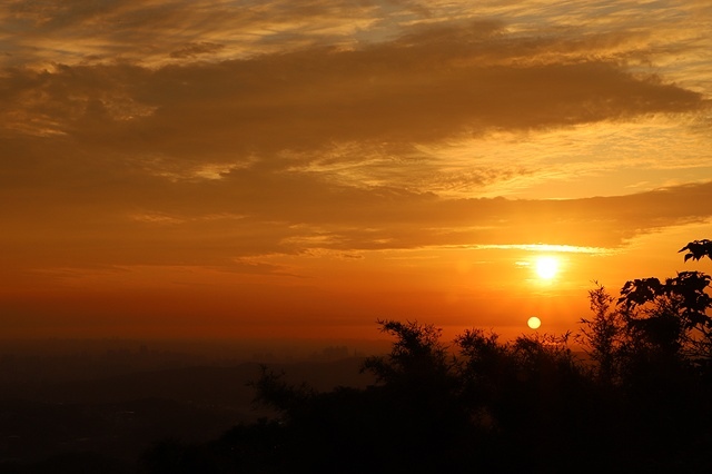 2025桃園龜山中坑街316巷牡丹蓮,5/31即時花況🌸;同