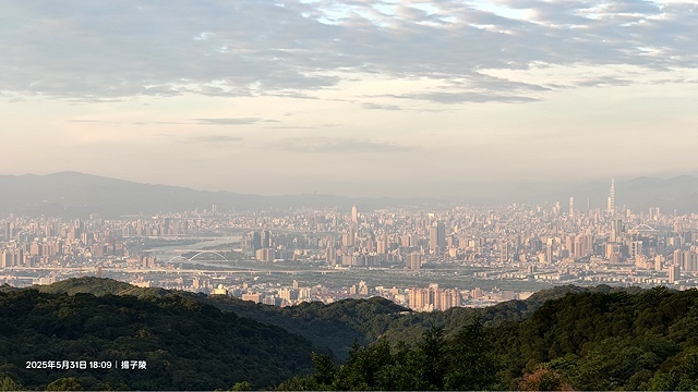 2025桃園龜山中坑街316巷牡丹蓮,5/31即時花況🌸;同