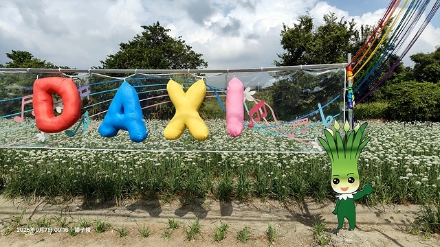 2025桃園大溪韭菜花季開跑！🌸活動日期：2025/8/30