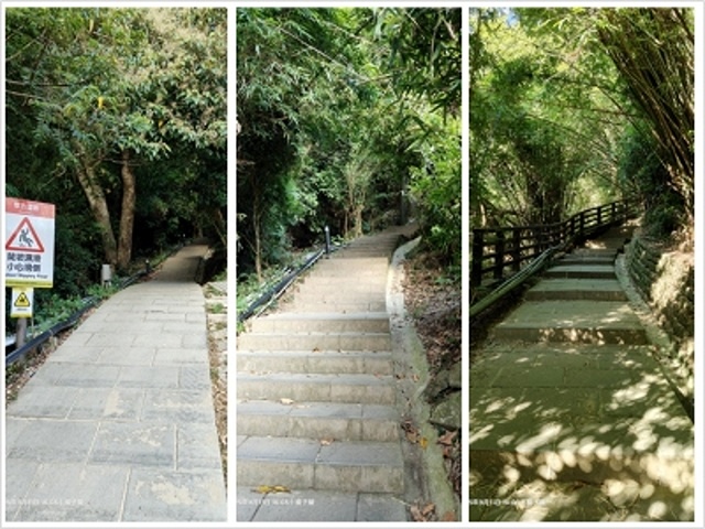 2025硬漢嶺登山記,楓櫃斗湖登山步道,日出與夕陽美景的完美 2025硬漢嶺登山記,楓櫃斗湖登山步道,日出與夕陽美景的完美