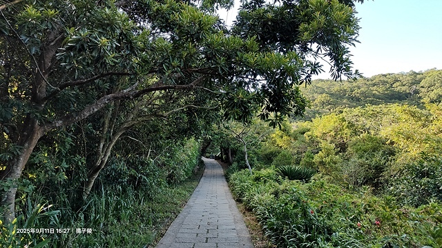 2025硬漢嶺登山記,楓櫃斗湖登山步道,日出與夕陽美景的完美 2025硬漢嶺登山記,楓櫃斗湖登山步道,日出與夕陽美景的完美