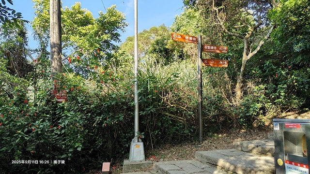 2025硬漢嶺登山記,楓櫃斗湖登山步道,日出與夕陽美景的完美 2025硬漢嶺登山記,楓櫃斗湖登山步道,日出與夕陽美景的完美