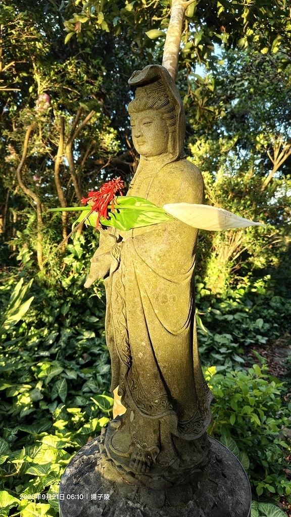 2025硬漢嶺登山記,楓櫃斗湖登山步道,日出與夕陽美景的完美 2025硬漢嶺登山記,楓櫃斗湖登山步道,日出與夕陽美景的完美