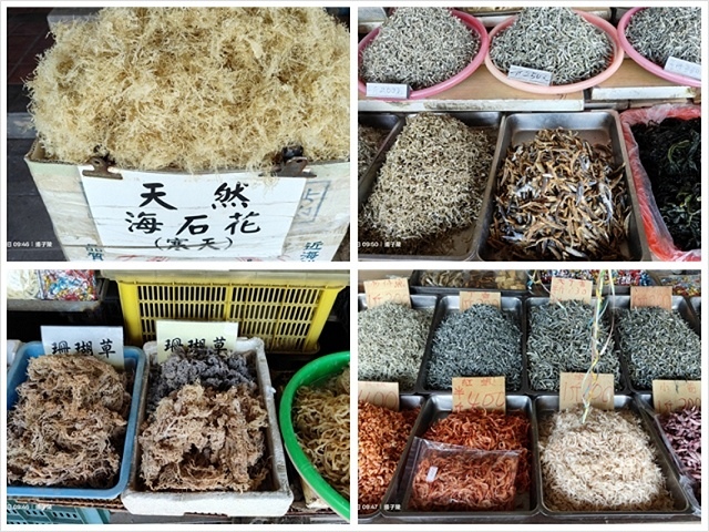 2025海與城的交響,北關海潮公園的半日散策;從濱海到信仰: 2025海與城的交響,北關海潮公園的半日散策;從濱海到信仰: