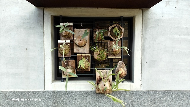 2025在地海味與文青風格的交會,二漁咖啡-鮮魚定食、中興文