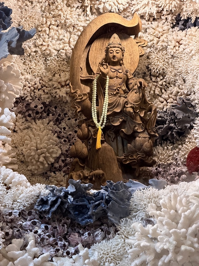 2025從粉紅花海走進海底龍宮,我的淡水奎柔山路(北8)美人