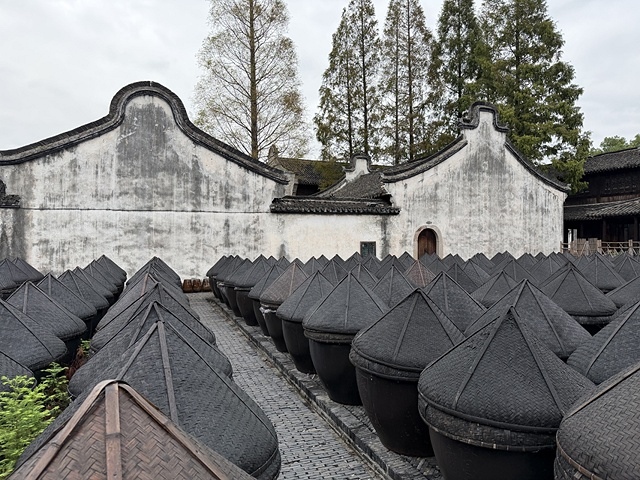 2025蟹逅故事江南D3. 10/20一📸烏鎮風景區、和合二 2025蟹逅故事江南D3. 10/20一📸烏鎮風景區、和合二