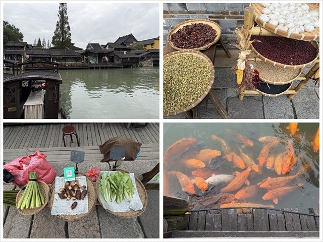 2025蟹逅故事江南D4. 10/21二📸烏鎮風景區、敘昌醬 2025蟹逅故事江南D4. 10/21二📸烏鎮風景區、敘昌醬