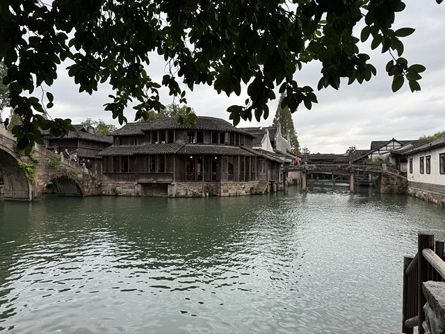 2025蟹逅故事江南D4. 10/21二📸烏鎮風景區、敘昌醬 2025蟹逅故事江南D4. 10/21二📸烏鎮風景區、敘昌醬