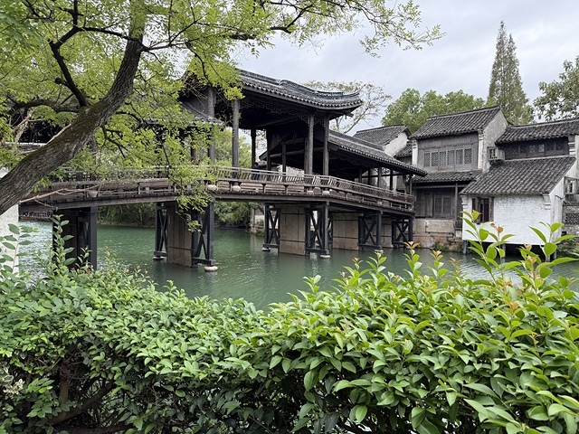 2025蟹逅故事江南D4. 10/21二📸烏鎮風景區、敘昌醬 2025蟹逅故事江南D4. 10/21二📸烏鎮風景區、敘昌醬