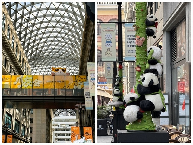 2025蟹逅故事江南D5. 10/22三📸城市陽台錢江新景 2025蟹逅故事江南D5. 10/22三📸城市陽台錢江新景