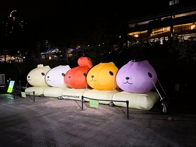 2025碧潭地景裝置展呆在碧潭の水豚君,活動日期:2025